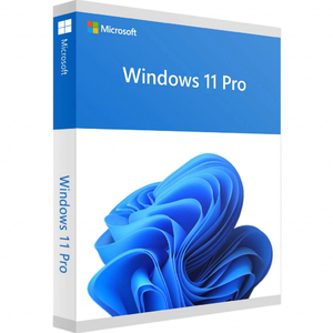 Купить Microsoft Windows 11 Pro 64Bit Eng Intl 1pk DSP OEI DVD
